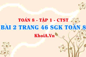Bài 2 trang 46 SGK Toán 8 Tập 1 Chân trời sáng tạo